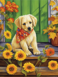 Hund 5d Diy Diamond Painting Diamant Malerei Set MJ9117