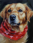 Hund 5d Diy Diamond Painting Diamant Malerei Set MJ9120