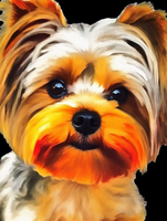 Hund 5d Diy Diamond Painting Diamant Malerei Set MJ9137