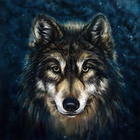 Wolf 5d Diy Diamond Painting Diamant Malerei Set SS179252123